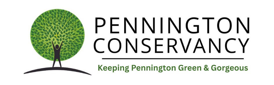 Pennington Conservancy Logo - Protecting KZN South Coast Nature