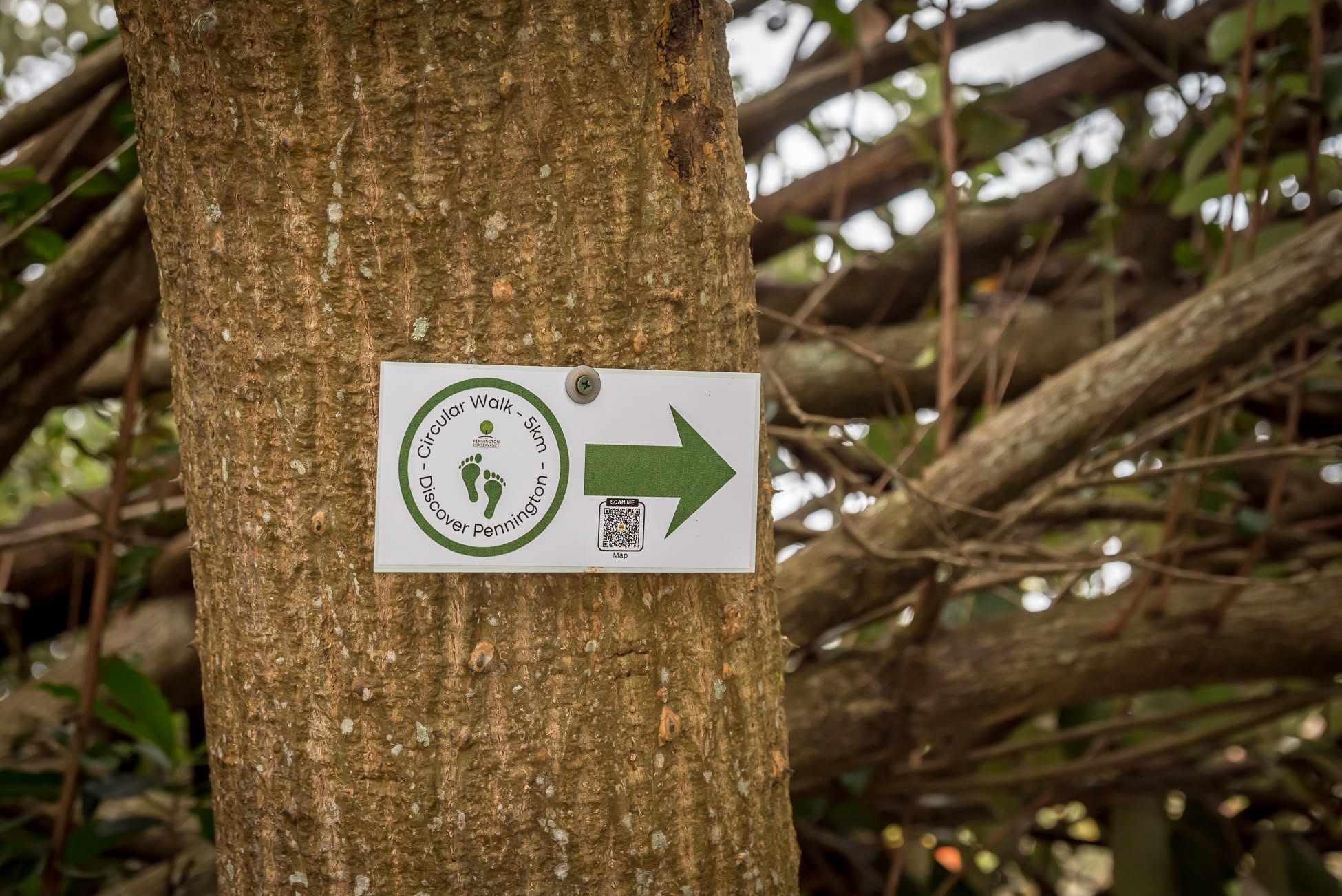 Circular Walk Gallery