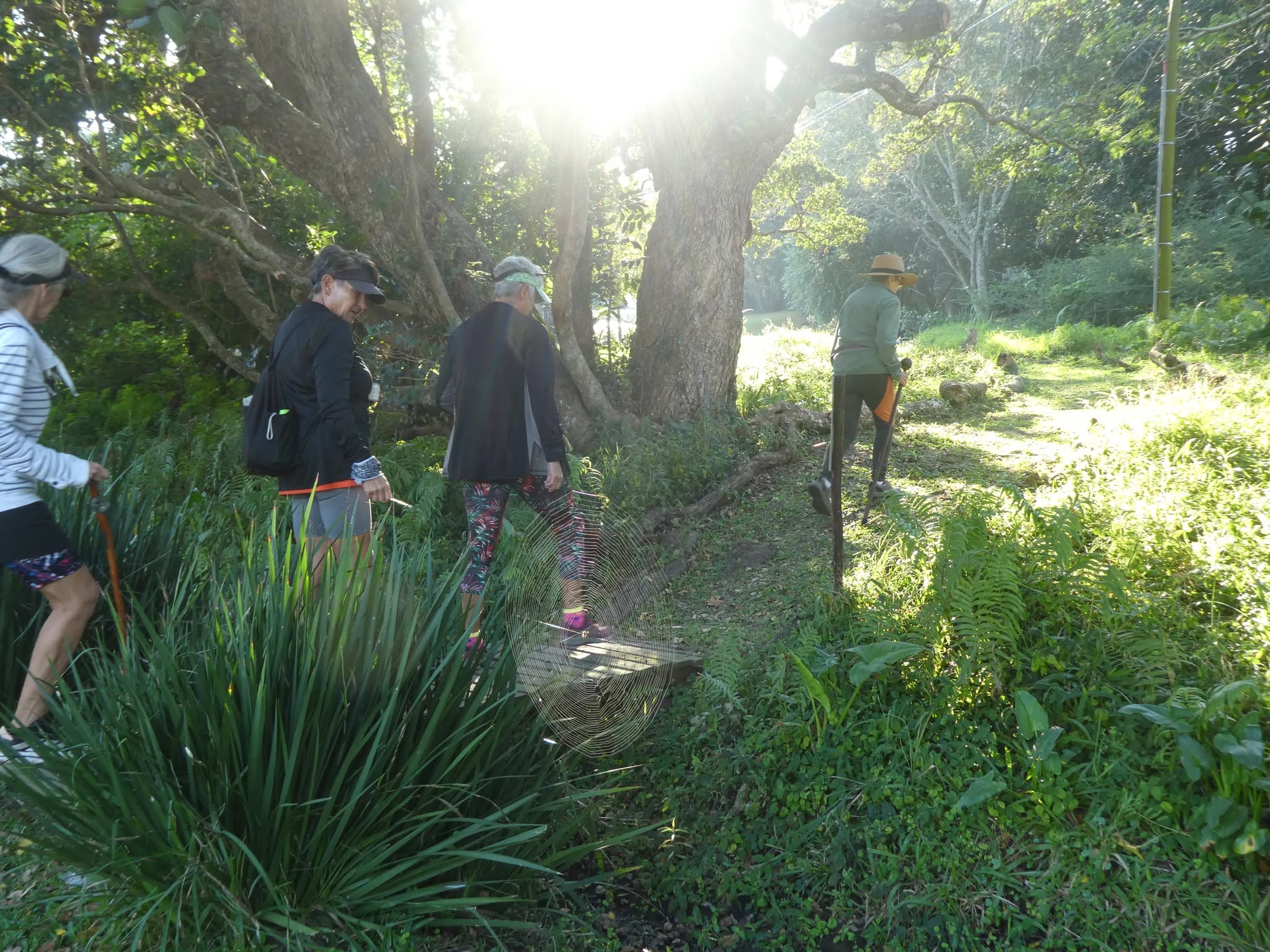 Circular Walk Gallery