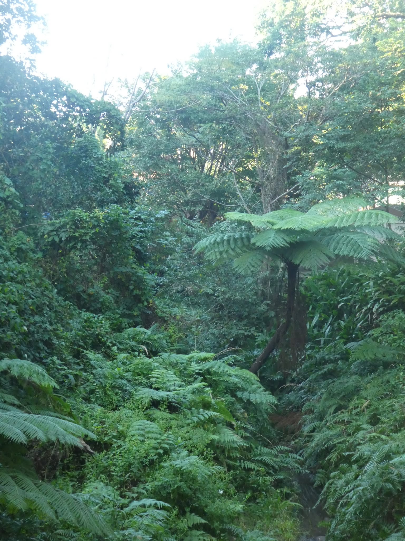 Circular Walk Gallery