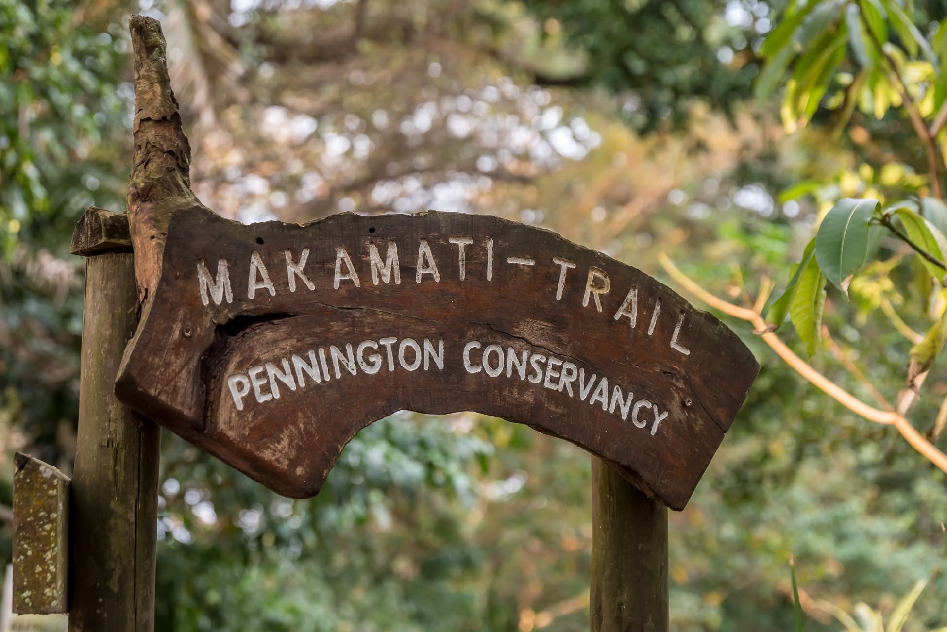Circular Walk Gallery