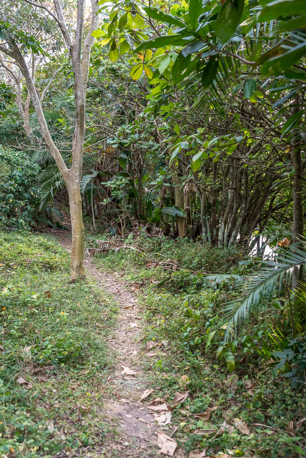 Circular Walk Gallery
