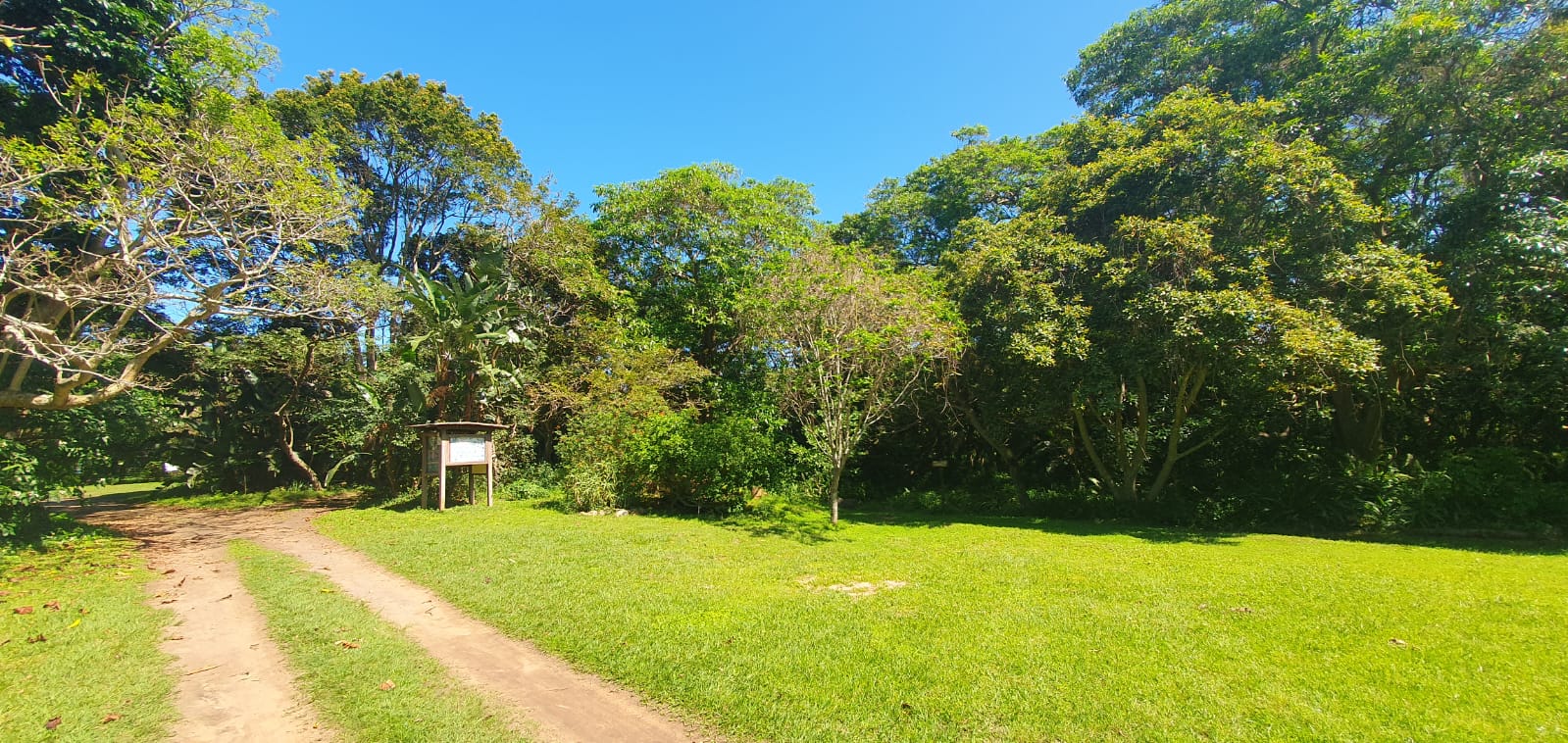 The lush scenery of Nkomba Conservation Area
